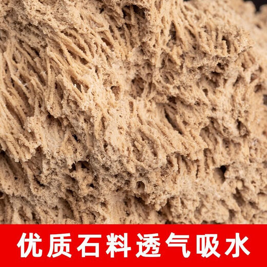 Absorbent stone flower pot, natural strange stone, absorbent stone, water-absorbing stone, raw stone stone pot, calamus succulent potted plant, bonsai micro-scape, 10-12cm stone pot + round base + grass seeds