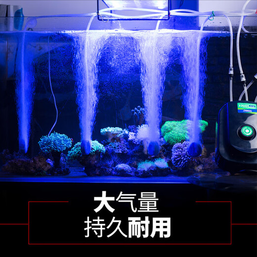 增氧泵鱼缸氧气泵大功率增氧机养鱼打氧机充氧泵加氧泵制氧机 SB-738双孔3.5W单机无配件