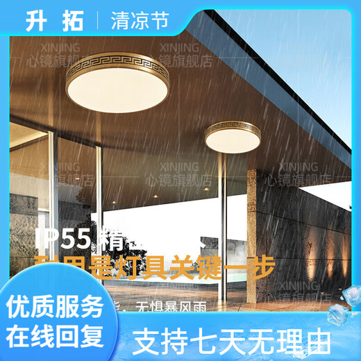 心镜全铜吸顶灯别墅入户灯室外防水阳台灯庭院过道走廊超薄防蚊虫顶灯 X3891-300/圆形