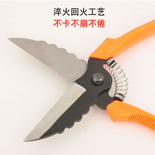 Diaohuang special scissors for cutting garlic, garlic scissors, garlic root scissors, garlic scissors, garlic scissors, green onions, ginger and onion scissors, 1 pair