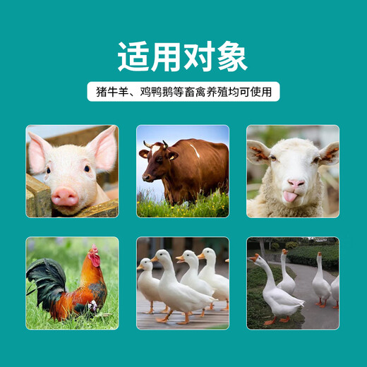 Mildew removal agent for veterinary animals, special mold removal agent for sows, chickens, ducks, geese, cattle and sheep, 1 barrel of 20 Jin Jin is equal to 0.5 kg, buy 5 and get 1 free