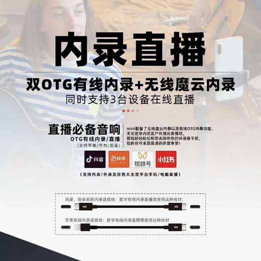 Mo 3 Speaker 2025 Mo 3 MINI Speaker 80W Electric Wind Instrument Guitar Playing and Singing Bluetooth Charging Speaker Mo 3 Mini Black Gold (80W)