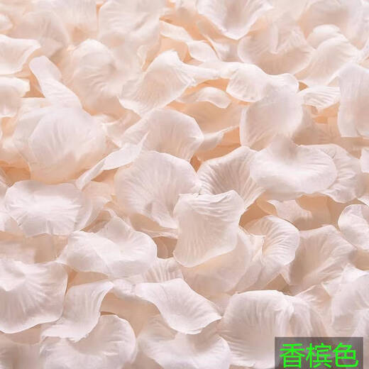 XMSJ仿真玫瑰花瓣结婚表白装饰手撒花情人节求婚制造浪漫婚房布置用品 香槟色一斤7000片