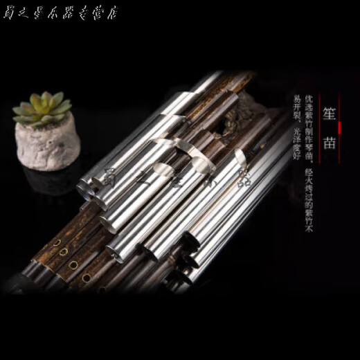 时笙笙乐器 紫竹圆笙17簧14簧扩音笙表演考级练习笙黄铜电镀笙管 芦笙全黑14簧笙(D调)