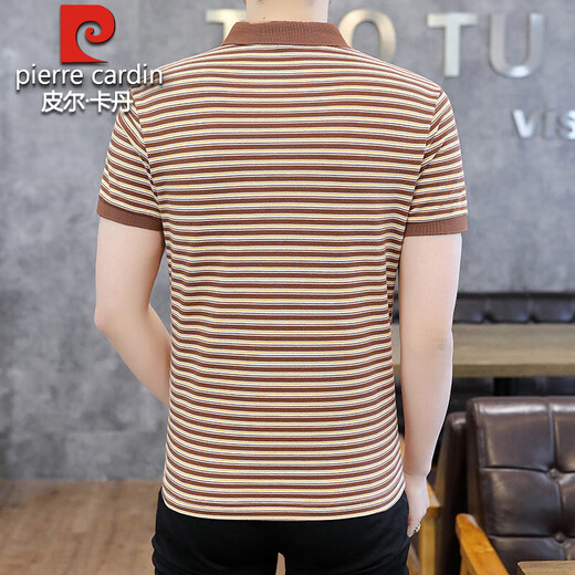 Pier Cardin high-end pure cotton short-sleeved T-shirt for men 2025 summer new striped short-sleeved Polo shirt casual versatile lapel t-shirt 6626 gray L suggest 105-120Jin [Jin equals 0.5 kg]