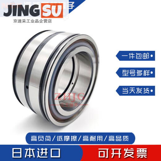 NSK vollrolliges Zylinderrollenlager SL04/RS5009 5010 5011 5012 5013 NR PP andere RS5009NR/SL04 5009PP