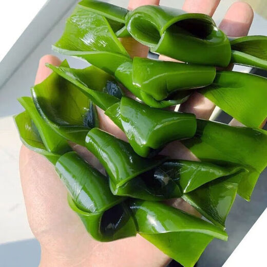 Gesalzene Seetangknoten, gesalzene halbgetrocknete Seetangknoten, Hot-Pot-Zutaten, kalte Gerichte, Meeresfrüchte, gesalzene Seetangknoten 1 kg