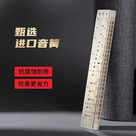 Guoguang 24-Loch Polyphonische Mundhonica importierten Chung Schwankend Klang Schöne Anfänger für Erwachsene Advanced Professional spielen Mundharmonica B Tune + Vollständige Geschenke
