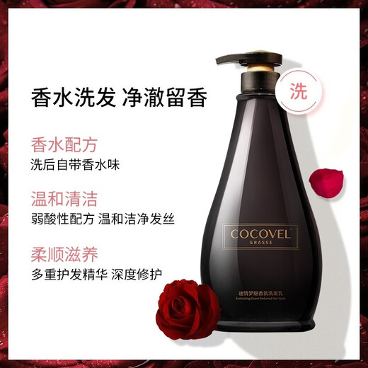 Shampooing cocovel shampooing set dream beauté beautal officiel phare authentique [drapeau Aura Paris] -Sweeping Set 500 ml * 2