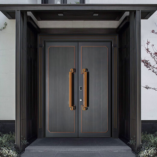 铸铝门别墅大门双开门农村乡村对开门家用自建房子母铜进户入户门 无卡单面精雕 3880/平方