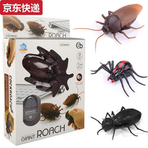 奇立彩电动蜘蛛遥控吓人玩具整蛊坑搞恶作剧带娃神器昆虫仿真动物玩具 9921苍蝇