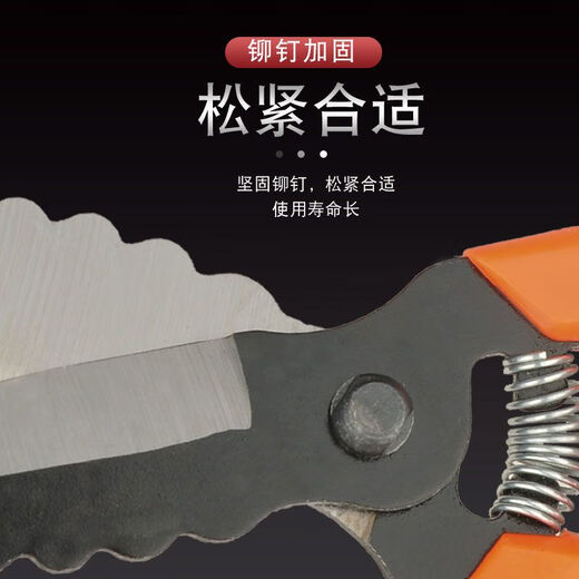 Diaohuang special scissors for cutting garlic, garlic scissors, garlic root scissors, garlic scissors, garlic scissors, green onions, ginger and onion scissors, 1 pair