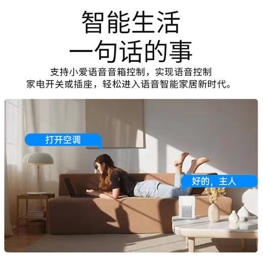 【京东快递 送货上门】WiFi智能插座 已接入米家app远程控制手机定时开关 支持超级小爱 10A智能插座【WiFi计量】