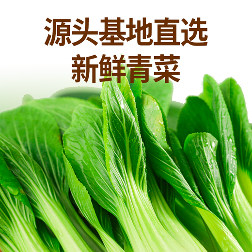 巴比 香菇菜包300g*2包 共12只早餐包子菜馒头生鲜面点 速食方便菜  