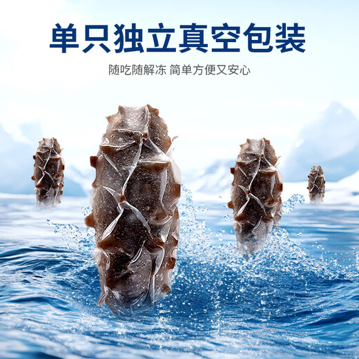 Xinglonggang Dalian ready-to-eat sea cucumber gift box, net content 2Jin Jin is equal to 0.5kg, 22-28 pieces, frozen Liao sea cucumber, holiday gift giving