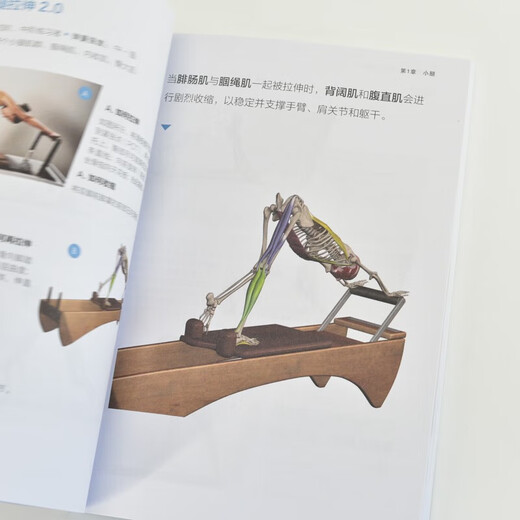 Anatomical Illustration of Pilates Bed Stretching Training by Anthony Wright Health Care