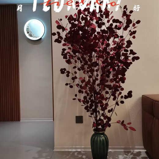 Apple eucalyptus dried flowers indoor living room office immortal flower base straight hair niche immortal apple eucalyptus leaves 100-130cm1 tied purple red