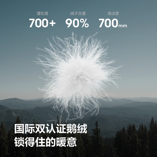 Bosideng 25-Year-Old Goose Down Jacket Men's Autumn Lightweight Hooded Slim Fit Spare Strip Short Casual Versatile Jacket