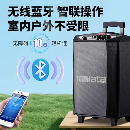 Malata M+9017C outdoor electric acoustic guitar folk singing instrument speaker square dance performance audio wireless Bluetooth home trolley speaker U-section microphone 12 inches