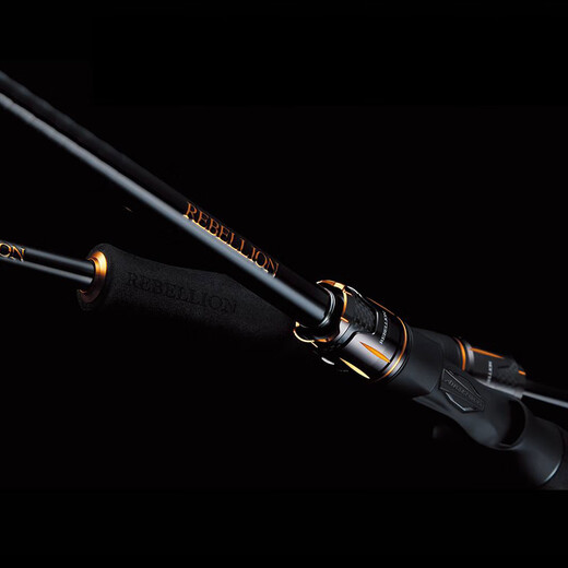 达亿瓦（DAIWA）20新款REBELLION逆霸龙路亚竿鲈鱼竿2节钓鱼竿 682m L+FS(2.03米中软调直柄)