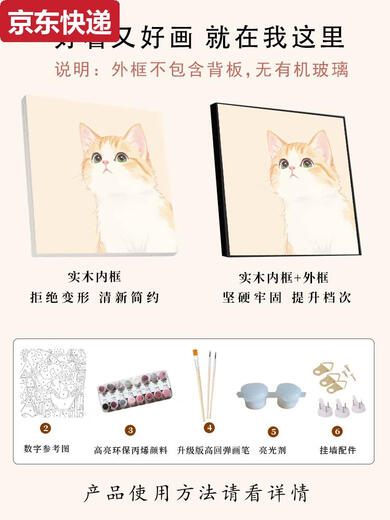 可爱卡通橘猫数字油画diy填充填色画手工丙烯涂色画画定制宠物画 X14715 全套内框材料包20*20cm