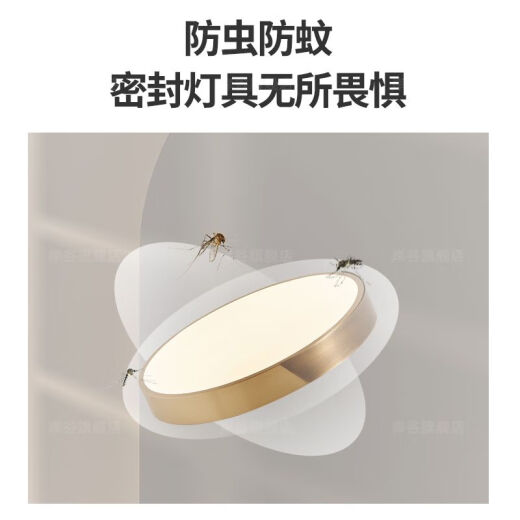 别墅入户大门灯防蚊虫防水过道灯进户门厅室外阳台照明户外吸顶灯 X3890-大号51CM/三色可调