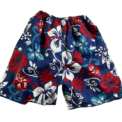 Beach quick-drying pants Men's quick-drying shorts loose five-point rafting surfing seaside swimming blue mixed hair one size