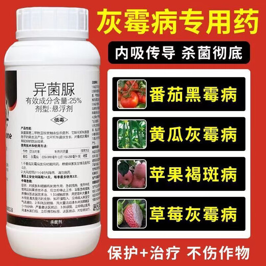 Special medicine for gray mold, iprodione fungicide, blight, cucumber, leek, tomato, strawberry, grape, fruit tree, gray mold pesticide 500g