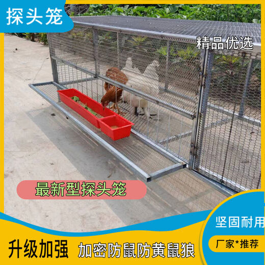 鸡笼家用室内防黄鼠狼自动出蛋饲养笼铁丝网鸽子鸭兔不锈钢养殖笼 15862吃食烤漆白黑可选备注 加轮子和托盘