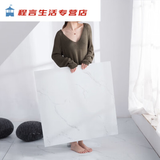 自粘贴纸水泥地直接铺加厚耐磨水自贴仿地砖翻新改造 6627 60*60cm 1片