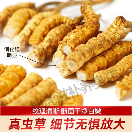 Пекин Тонгрентанг качественный тибет прямые волосы Quna cordyceps Высокоэтажные кордицепсы сухой товары 100 г подарочная коробка 4 стержня/грамм 100 г подарочная коробка Lhasa Direct Hair