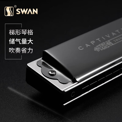 Swan allemand Cherry Swan Swan 28 trous Accent harmonica for adulte Professional Performance débutants Disque haut de gamme à 24 trous [cadeau haut de gamme] Disque Black + Accompagment U