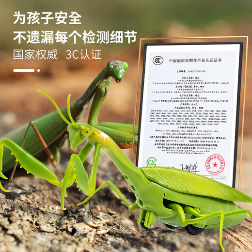 Fengxi пульт дистанционного управления Mantis Electric Simulation Toys Toys Douyin Artfact Artifact Boys Boys могут переместить животных с пауками [классическая версия - пульт дистанционного управления божьей коровки] Красная модель 9922+ Официальный стандарт улитки.