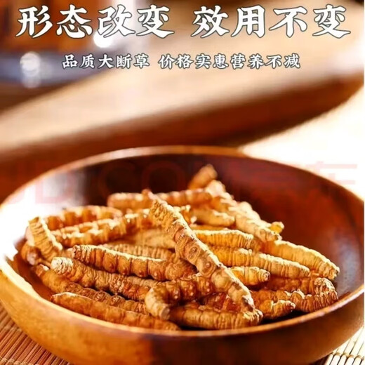 藏芝翁高海拔冬虫夏草精选头茬干虫草高端滋补礼盒送长辈送领导送客户 大断草50克【拍50克发55克】送5克