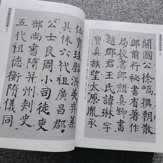 
Jingpin Shining Yan Zhenqing's calligraphy collection Dahou calligraphy books Large characters Chinese characters art appreciation books Page number 724