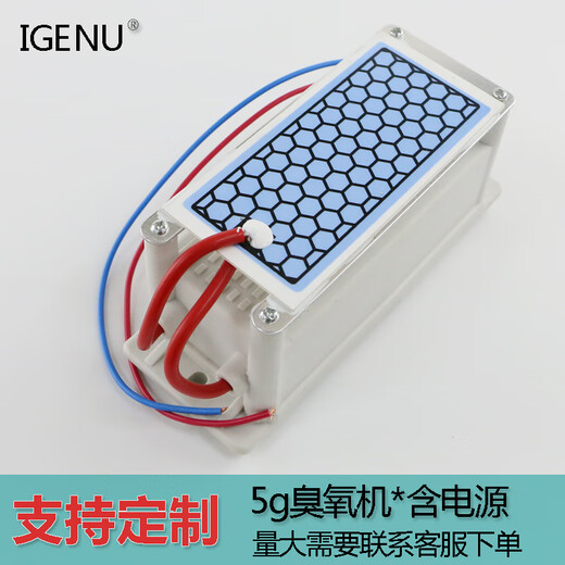 Aijenu 10g ozone generator power supply accessories ozone machine disinfection oxygen machine factory food workshop odor removal formaldehyde 220V5g (recommended by the store manager)