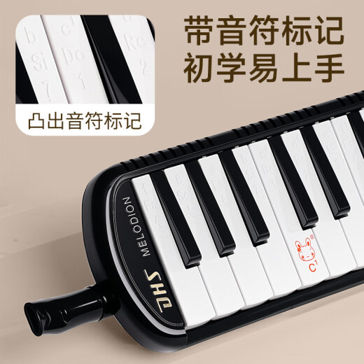 奇美课堂乐器37键DHS口风琴 黑色 牛津布软包 配吹管吹嘴教材