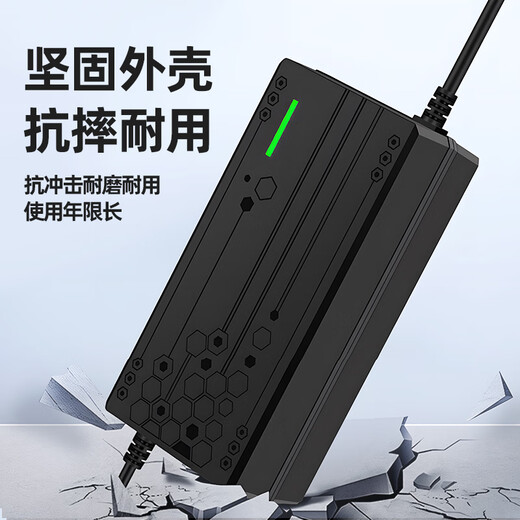 Electric vehicle battery charger is suitable for Amayadi Xinri Tai bell pocket knife three-wheel 48V12AH60V20AH battery lead-acid universal T-type 48V20Ah universal T-type plug