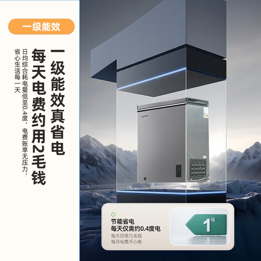 Xinfei Freezer First Class Energy Efficiency Frost Reduction Small Freezer Home Commercial Storage Energy Saving Refrigerator Freezer Small Refrigerator Small Rental Refrigerator Breast Milk Tea Freshness Refrigerator Gray 100L High Efficiency Frost Reduction-36 Cryogenic Quick Freezing