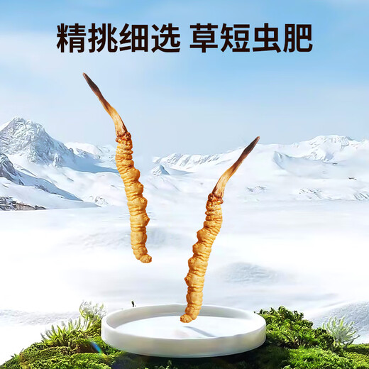 
Tongfu Cordyceps sinensis 3 roots/g 20g 60 roots gift box, nourishing nutritional supplements, gifts for elders