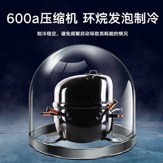 奥克斯小冰柜家用省电保鲜冷冻冰柜 商用节能迷你小型卧式冷柜 储母乳柜冰箱 【国补】128升级减霜款|可囤60斤肉 28L