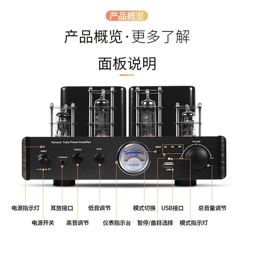 豪韵【热销第一电子管胆机】豪韵2030R音响功放机发烧级 大功率放大器 专业音响一体机 支持 AV-2030R金色+SP-X2音箱