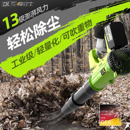 充电式鼓风机强力吹风机大功率工业用锂电无线吹灰机吹灰尘吹树叶 DS-6挡暴风吹3888TV一电一充