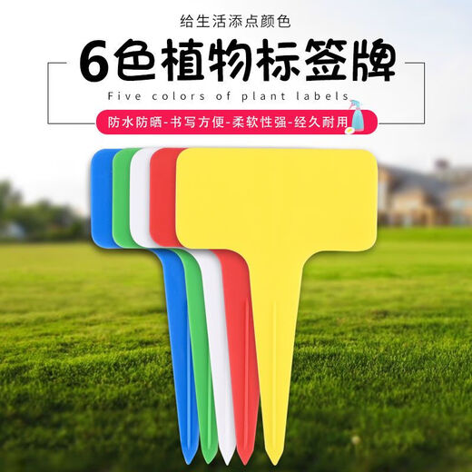 Наземная брендовая садовая этикетка, идентификационная этикетка для суккулентов, Т-образная цветочная этикетка, запись названия растения, водонепроницаемый пластик, большой утолщенный белый цвет, 20 шт.