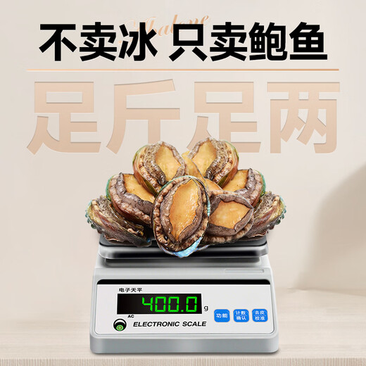 Linglue Fujian fresh frozen large abalone, net weight 400g, 8 pieces box, abalone hot pot barbecue, shellfish and seafood, fresh