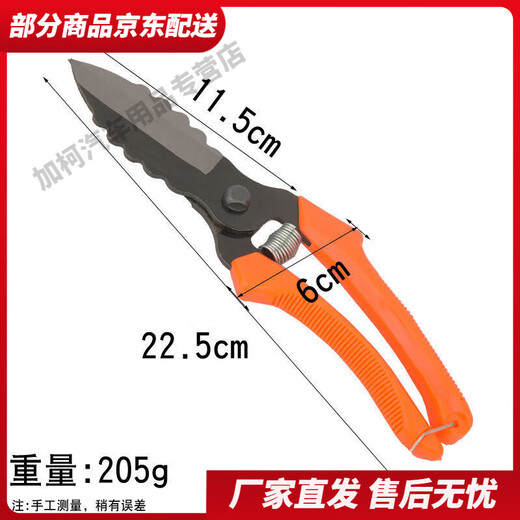 Diaohuang special scissors for cutting garlic, garlic scissors, garlic root scissors, garlic scissors, garlic scissors, green onions, ginger and onion scissors, 1 pair