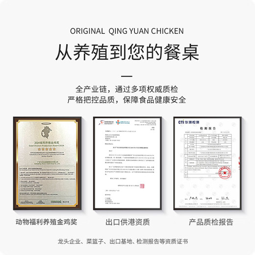 Tiannong supplies Hong Kong Pipa chicken thighs 1Jin Jin is equal to 0.5kg frozen export quality Qingyuan native chicken thigh meat grilled fried braised ingredients