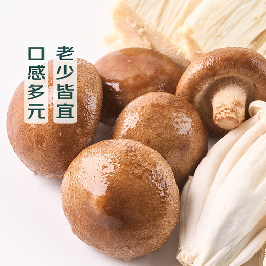 Hot Pot Mushroom Platter 400g (Shiitake Mushrooms + Enoki Mushrooms + White Jade Mushrooms + Crab Flavored Mushrooms)