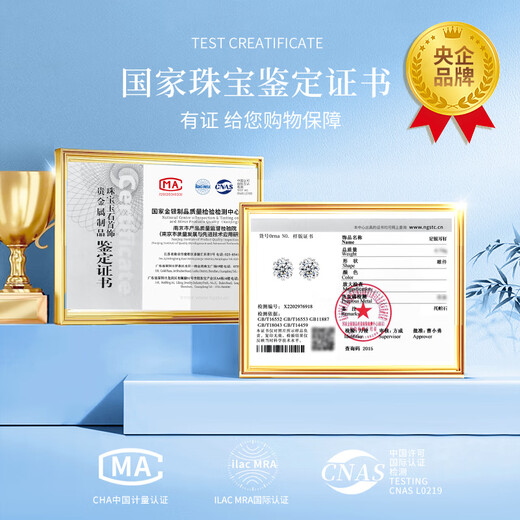 China Gold Snowflake Starburst Pure Silver Earrings for Women Topaz Earrings Girls Birthday Gifts for Girlfriends and Wife Wedding Anniversary Pure Silver Starburst Snowflake Earrings Jingsuda