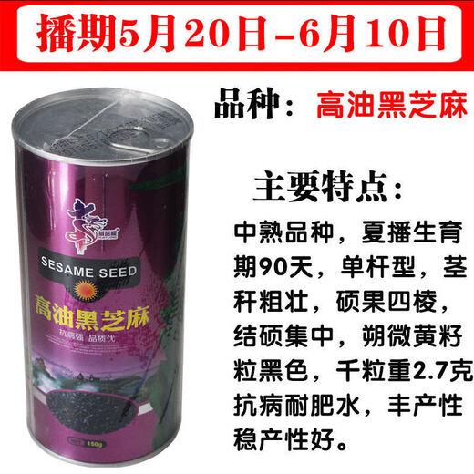 Linpan Huazhi Heiba seeds for courtyard planting, early maturing, high yield, high oil content, high field seeds, dwarf stem leaf yellow 150g barrel dwarf white sesame seeds